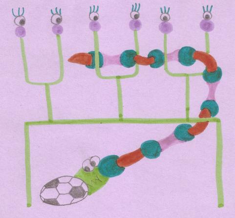 dibujo de serpiente atajando un penal de futbol con la cara. la porteria tiene arriba porterias de futbol americano con ojitos